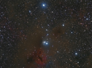 IC 348 (2011/09)