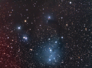 IC 446 + IC 447