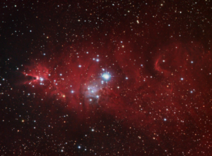 NGC 2264 (2008/02)