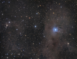 NGC 7023 + vdB 141